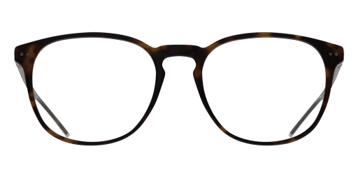 Polo Ralph Lauren PH2225 5003 férfi havana színű pantó formájú szemüveg